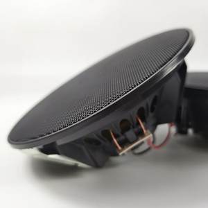 Altoparlante Hi-Fi a Bassa Impedenza per Interni Tianlai 601A, Sistema Stereo per <span class=keywords><strong>Musica</strong></span> di Sottofondo per Tutta la Casa - Product Image 3