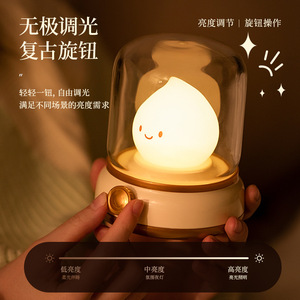 Retro Oil Lamp Style <b>Night</b> <b>Light</b> Warm White LED Tap Control USB Powered Bedside Lamp For Bedroom Sleep Baby Feeding - Product Image 3