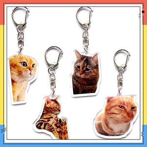 Llavero Acrílico Personalizado con Diseño de Gato de Anime, Encantador, Impermeable, Ligero, Divertido y Decorativo para Llaves de Coche - Product Image 2