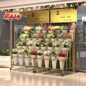 <span class=keywords><strong>Support</strong></span> de plante <span class=keywords><strong>en</strong></span> fer multifonctionnel Porte-pot de fleurs Étagère à plusieurs niveaux pour jardin d'intérieur - Product Image 3