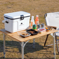 Glacière isotherme multifonction portable et écologique pour l'extérieur, 13L, avec poignée, pour canettes et aliments