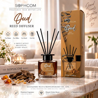 Diffuseur de parfum élégant sans flamme de 120 ml avec bouteille en verre transparent pour la décoration de la chambre, de la salle de bain et du salon