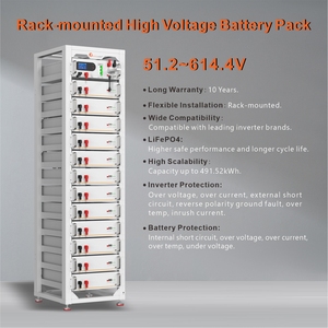Felicitysolar 51.2V LiFePO4 Batterij Rackmontage 5.12kWh-61.44kWh Zonne-energie Opslagbatterij 10 Jaar Garantie - Product Image 2