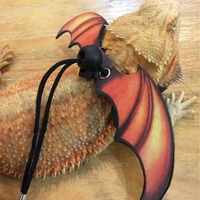 Harnais et laisse pour lézard barbu, lot de 3 tailles, ailes de dinosaure, accessoires de marche et d'entraînement en plein air pour reptiles, laisse pour petits animaux
