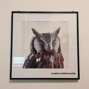 Modern Simple Aluminum Alloy Wall Hanging Black A2/A3 Oil Painting Advertising <strong>Certificate</strong> Photo <strong>Frame</strong> LTZ-3 - Product Image 2