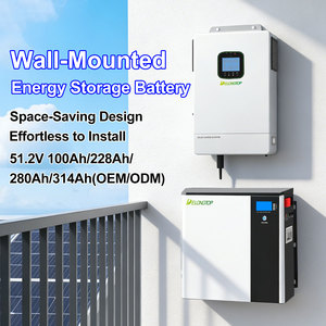 LFP51100 Long Life 6000cycles <b>Easy</b> to Install 5kwh 10kwh 15kwh 16kwh Storage 48v 51.2v Battery High-Capacity Energy Storage 16KW - Product Image 2