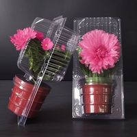 Solutions d'emballage en blister transparent en PVC écologique de haute qualité pour plantes vivantes et plantes en pot