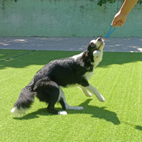 Jouets interactifs pour chiens en corde, pour mâcheurs de toutes tailles, balle en corde pour chien, balle à mâcher pour chien, vente chaude