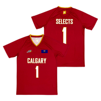 Jersey de voleibol para adultos cómodo poliéster personalizado impresión por sublimación uniforme de voleibol