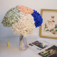 Real Touch gros gros pétale tige courte blanc bleu séché conservé fleur d'hortensia