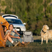 Sac à dos d'extérieur de luxe pour animaux de compagnie Bagages Tapis de voyage portable avec sac de transport Tapis de sol confortable pour animaux de compagnie