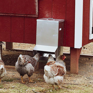 מזין עופות גדול JH-Mech עם מכסה עמיד למזג אוויר, קיבולת 25 ליברות, פלדה מגולוונת, מזין אוטומטי לעופות - Product Image 3