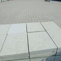 Dalles de granit blanc flammé pour extérieur, écologiques, durables, imperméables, antidérapantes, pour pavés de place publique, écoles, trottoirs, design moderne