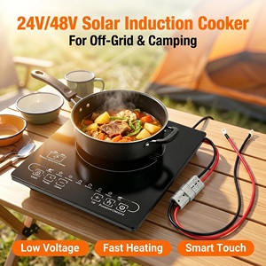 Fornello a Induzione Solare DC 24V/48V a Batteria Nuovo Design per Uso Interno/Esterno Ispirato a Hotel, Auto e Camper USA - Product Image 2