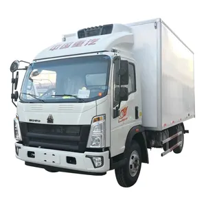 Overzeese Groothandel Leveranciers Licht Cargo Diesel Howo Truck In Tanzania
