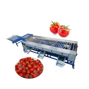 4 Kwaliteiten Ronde Fruit Sorteren Machines/Kleine Soort Fruit Sorteren Machine Te Sorteren De Knoflook In 3 Kwaliteiten - Product Image 4