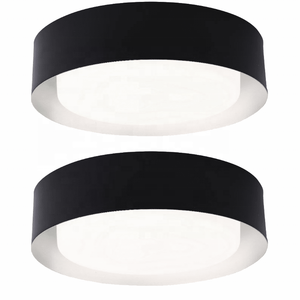 Phòng Khách Đương Đại Đèn Trần Hiện Đại Đơn Giản Phòng Tắm Bắc Âu Đồ Đạc Trần Nhà Bếp - Product Image 3