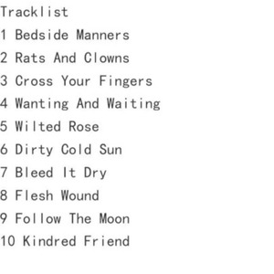 CD The Black Crowes Happiness Bastards, premier nouvel album depuis 15 ans, avec Wanting and Waiting - Product Image 3