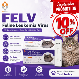 ชุดทดสอบแอนติเจน FeLV สำหรับแมวแบบตลับ วินิจฉัยโรคลิวคีเมียในแมว สำหรับใช้ในคลินิกสัตวแพทย์ ความไวสูง - Product Image 1