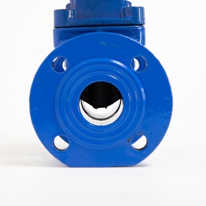Vanne à opercule à siège souple en fonte ductile OEM pour conduite d'alimentation en eau municipale, à siège résilient et à brides - Product Image 1