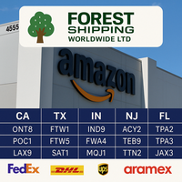 Tarifs d'expédition logistiques les moins chers Service de messagerie à porte USA/Europe Air/mer/express Cargo Chine Transitaire