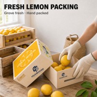 Boîte en carton ondulé pour fruits, réutilisable, empilable, robuste, ventilée, pour conserver les concombres, les tomates et les pommes de terre
