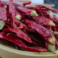 Vente de gros Piment rouge de Cayenne séché entier naturel pour la cuisine