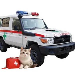 Sıcak satış mobil yoğun bakım adı ambulans kurtarma arabası