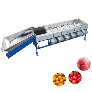 Nueva Máquina Clasificadora de Frutas y Verduras Automática de Acero Inoxidable, Tamaño Ajustable, para Kiwi, Naranja, Ajo, 220V/380V, 1 Año de Garantía - Product Image 1