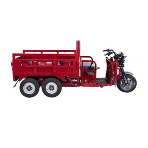 Easy To Control Dc Motor Electric Tricycle Cargo Open Body 800 W With Cheap Price