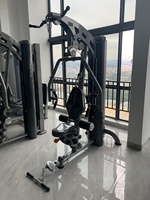 Machine à station unique Équipement de musculation multifonctionnel pour musculation Station de gymnastique à domicile unique