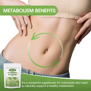 Sachets de thé naturel biologique au Gymnema <span class=keywords><strong>Sylvestre</strong></span> sans sucre, tisane naturelle pour le bien-être, soutien métabolique et gestion du poids - Product Image 3