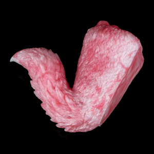 Masturbador Masculino GEEBA Pink Fox Fantasy, Juguetes Sexuales para Adultos, Muñecas de Bolsillo con Vagina y Ano, Envío Directo Personalizado - Product Image 5