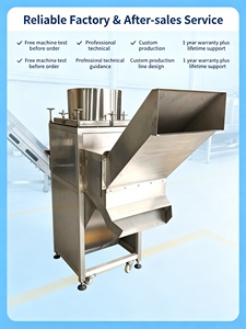 Machine à éplucher l'ail à économie d'énergie, service fiable, machine à éplucher et couper les oignons - Product Image 6