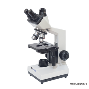 สไลด์แก้ว SCITEK ขนาด 25x75 มม. หนา 1.0-1.2 มม. แก้วคุณภาพสูงสำหรับการทดลองทั่วไป - Product Image 6