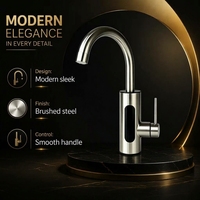 Robinet d'eau chaude instantanée électrique personnalisé OEM/ODM en acier inoxydable avec bec rotatif, étanche IPX4, affichage LED, pour extérieur et voiture
