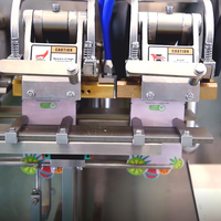 Hoge Kwaliteit DS-140S Doypack Machine Voor Het Vullen Van Zakjes Folie Folie Folie Folie Voor Voedingsproducten Gedroogde Vruchten Snoepjes Pepermuntjes Etikettering