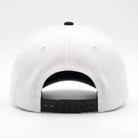 Casquette de baseball brodée 3D personnalisée, noire et blanche, 5 panneaux structurés, avec logo imprimé, pour hommes et femmes, casquettes vintage, OEM ODM