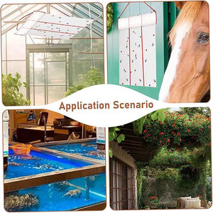 Pita Perekat Pembunuh Serangga Ramah Lingkungan dari PP Solid Dua Sisi untuk Pengendalian Hewan & Serangga - Product Image 6