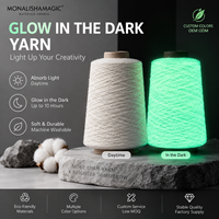 Fil Lumineux pour Tricot, Crochet, Chapeaux, Sacs, Jouets et Projets DIY, Fil qui Brille dans le Noir, Service OEM ODM