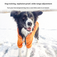 Collier de dressage pour chien en nylon solide, confortable et réglable, avec fermeture auto-agrippante, marque privée, vente en gros