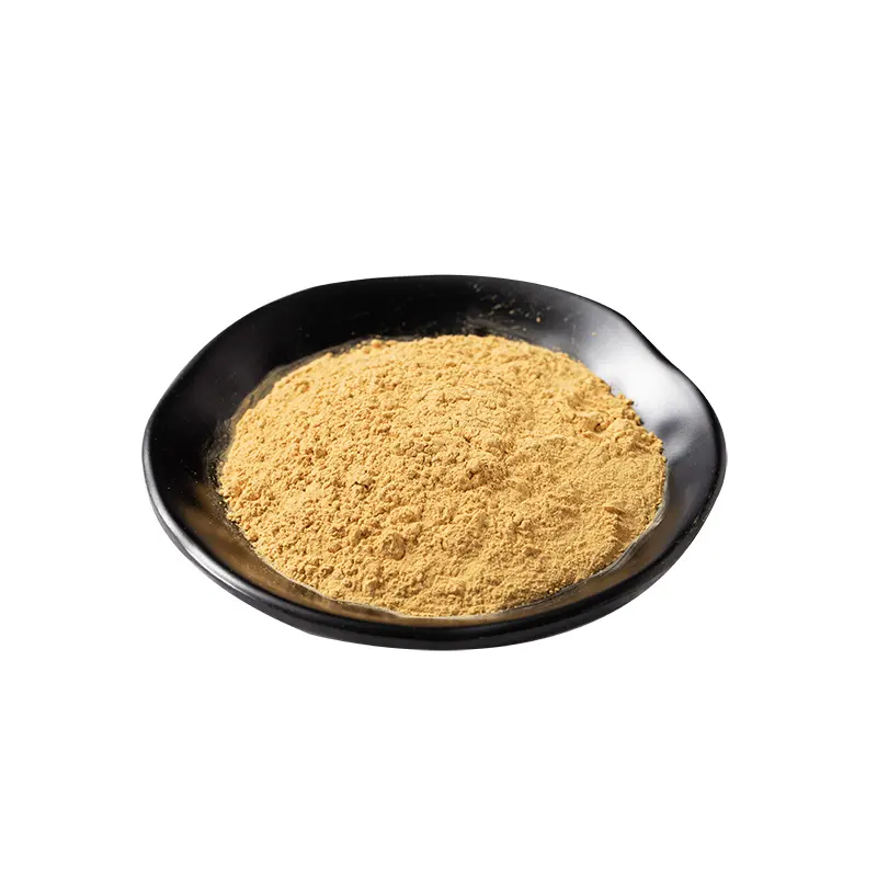 2024 Hot Sale High Quality Supply Free Sample lions mane powder