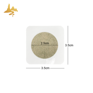 Patchs adhésifs transdermiques au gingembre à base de plantes naturelles Fourniture de soins de santé pour le soulagement des nausées et du mal des transports - Product Image 5