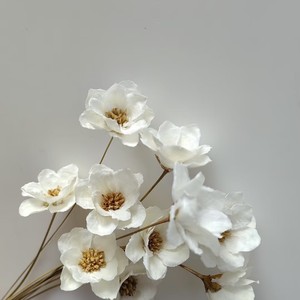 Bouquet naturel de fleurs séchées artisanales, clochettes argentées préservées, style Instagram, pour décoration de maison et arrangement en vase - Product Image 4