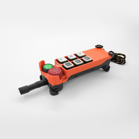 Control Remoto Inalámbrico para Grúa Hidráulica Industrial, 6 Botones, 2 Velocidades, 12V 24V 110V CC/CA, Suministro Directo de Fábrica, Modelo F21-E1, Metálico