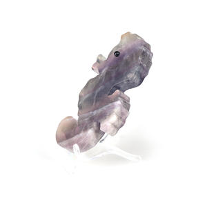 2025 vendita calda naturale guarigione pietre di cristallo arcobaleno Fluorite ippocampo intaglio per la decorazione regalo intaglio artigianato - Product Image 3