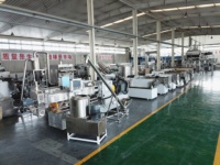 Machine de fabrication de nouilles instantanées sur mesure à petite échelle, ensemble complet, pâtes spaghetti non frites, composants centraux en acier inoxydable