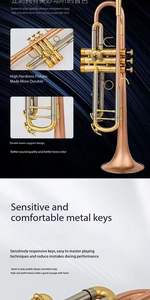 Fabrika doğrudan profesyonel performans b-ton küçük bant trompet türler için mükemmel - Product Image 3