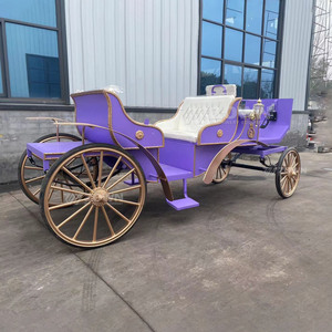 รถม้าไฟฟ้าวินเทจปี 2026 สุดหรูหราสำหรับการท่องเที่ยว  ขายรถชมวิวสุดหรู - Product Image 5