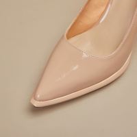 Sepatu Cialisa untuk Wanita, Sepatu Elegan Ujung Lancip, Grosir Sepatu Wanita Model Terbaru, Sepatu Hak Tinggi untuk Pesta dan Acara Resmi